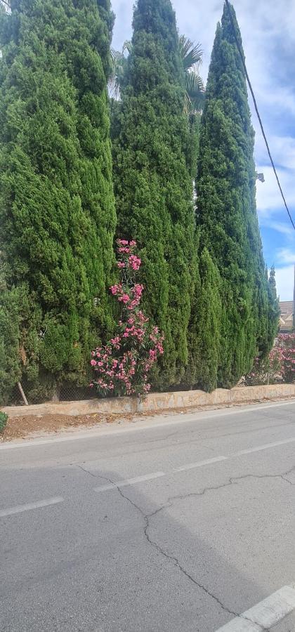 Coqueto Apartamento Murcia Bagian luar foto